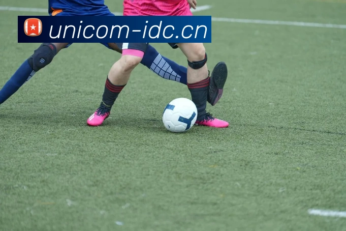 九游app入口发展历程